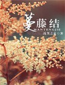 蔓藤结