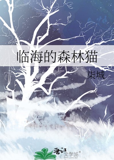 臨海的森林貓